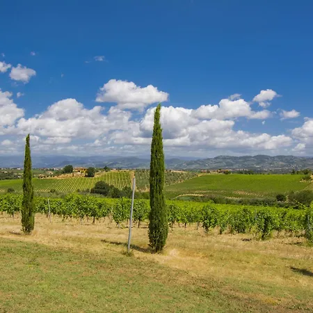Lejlighed Borgo Fontana-5 By Interhome Toiano